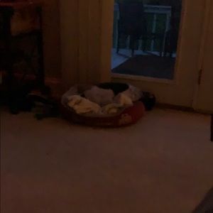 Meet your Posher, Steven